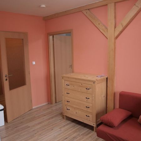 Apartments Viktoria Klinovec Kovářská Εξωτερικό φωτογραφία