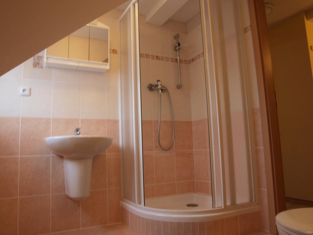 Apartments Viktoria Klinovec Kovářská Εξωτερικό φωτογραφία