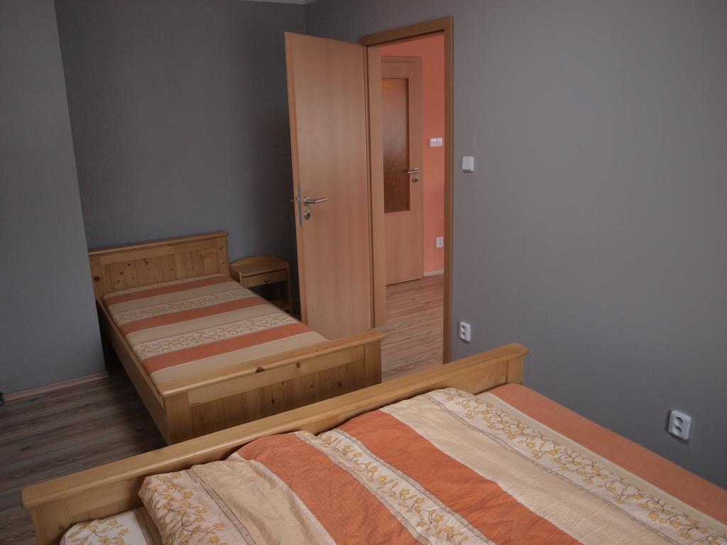Apartments Viktoria Klinovec Kovářská Εξωτερικό φωτογραφία